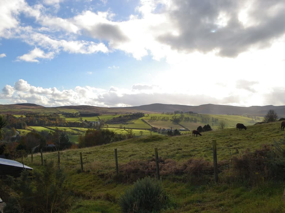 Surrounding countryside | Honeypot Cottage, Rothbury