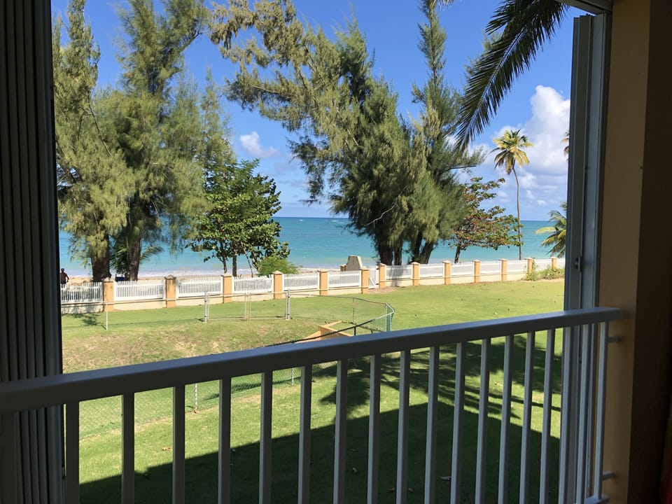 The View