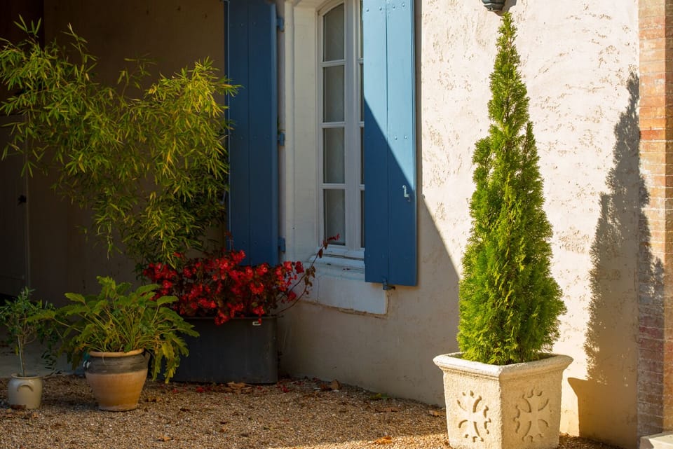 L'OLIVIER: one of the living room windows