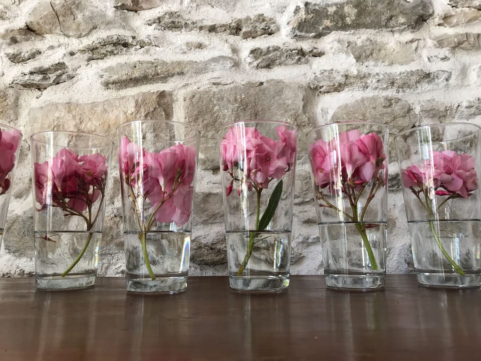 traditional stone wall and pink oleander