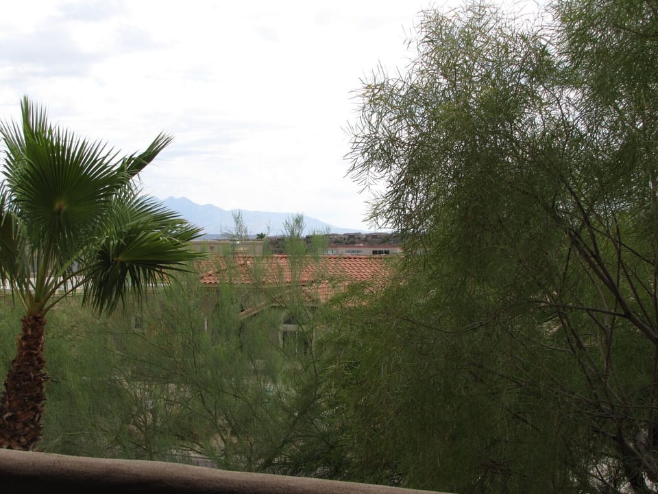 View from balcony