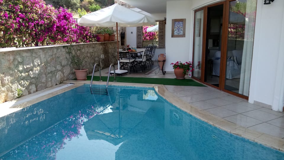 Pool Terrace and BBQ