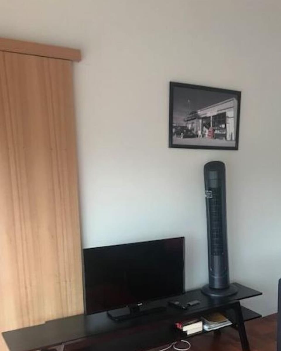 Television