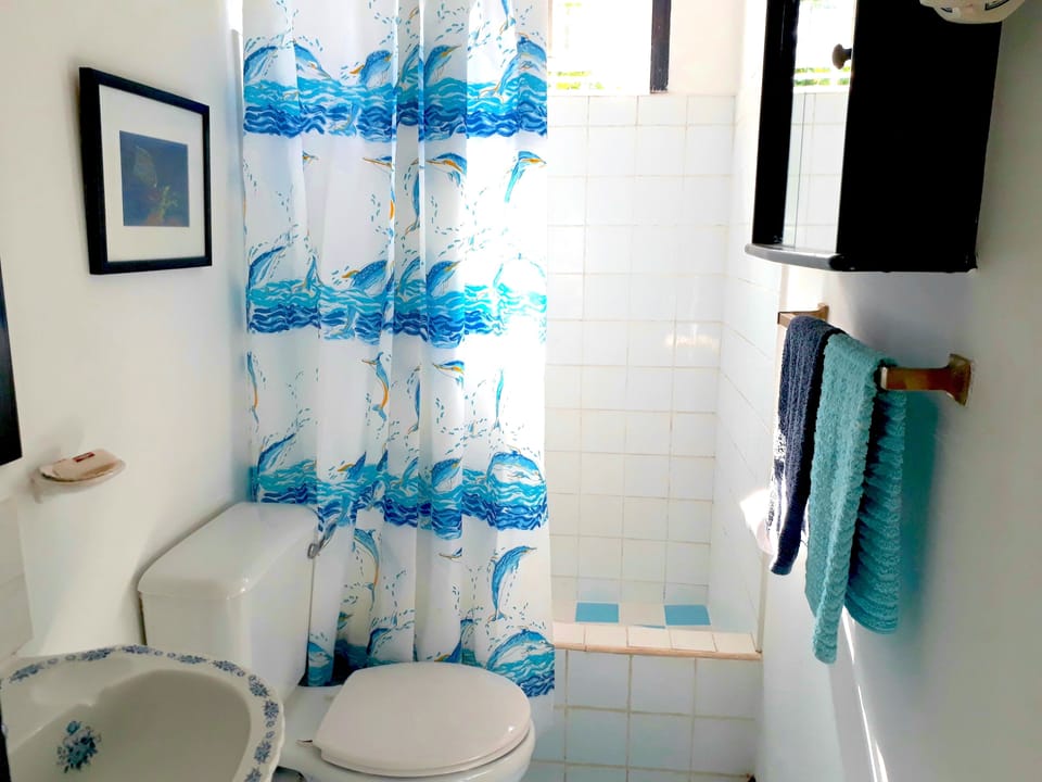 The Dolphin Bathroom (Shared)