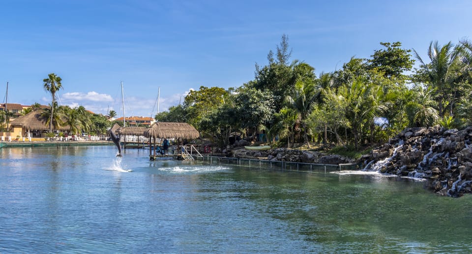 Puerto Aventuras Village, and Dolphin Discovery