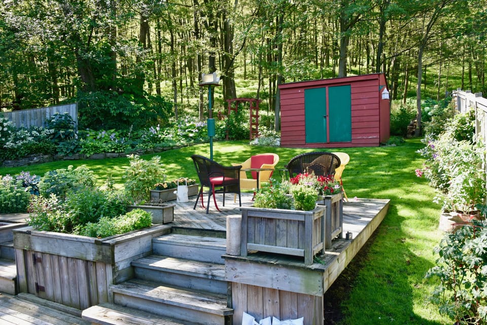 Backyard