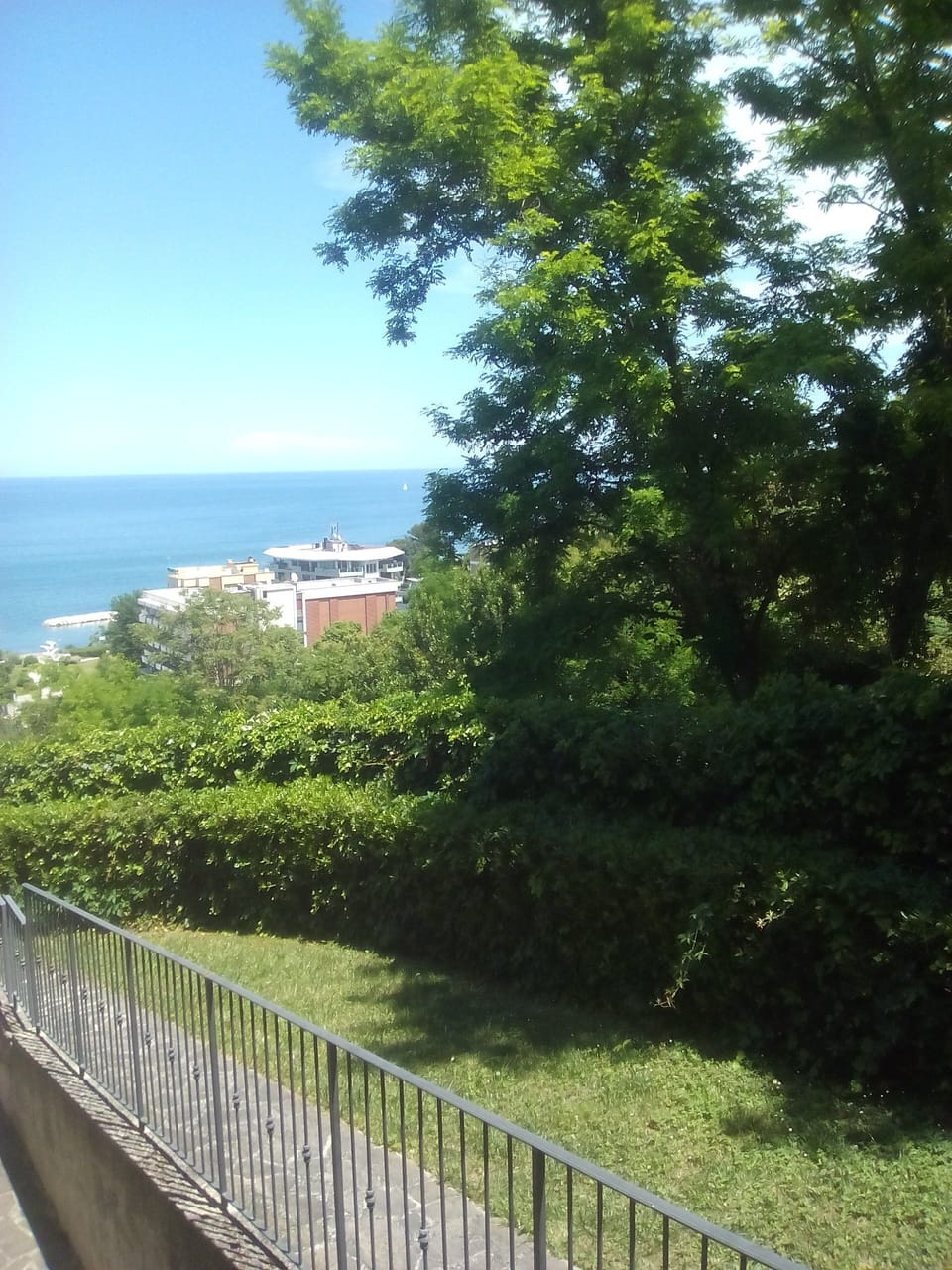 View from property