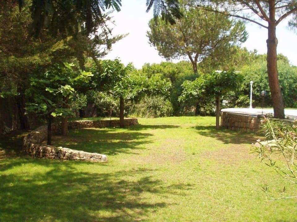 Garden, Park