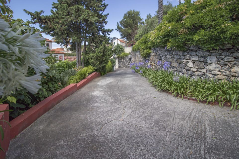 entrance with agapanthus