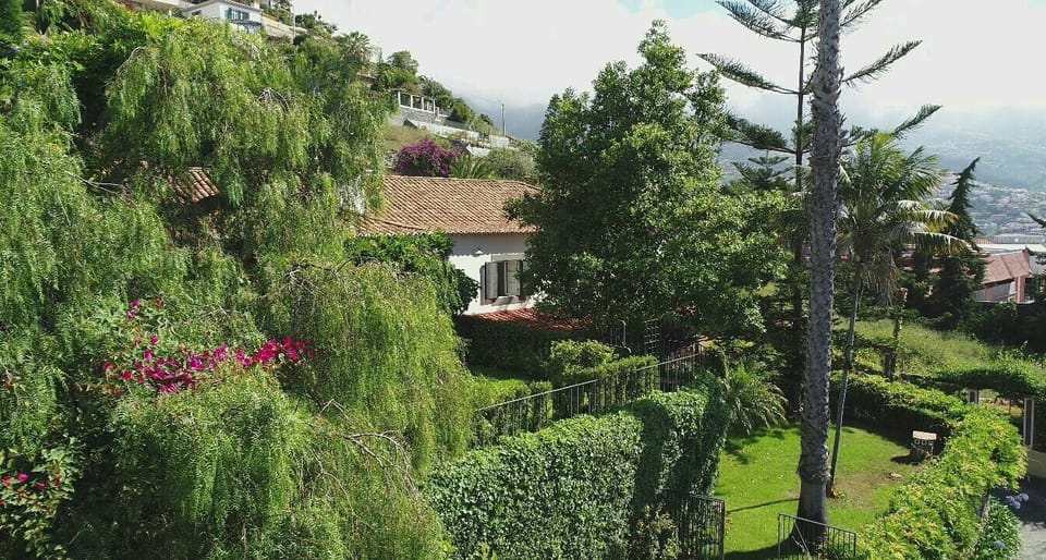 enjoy the beautiful garden