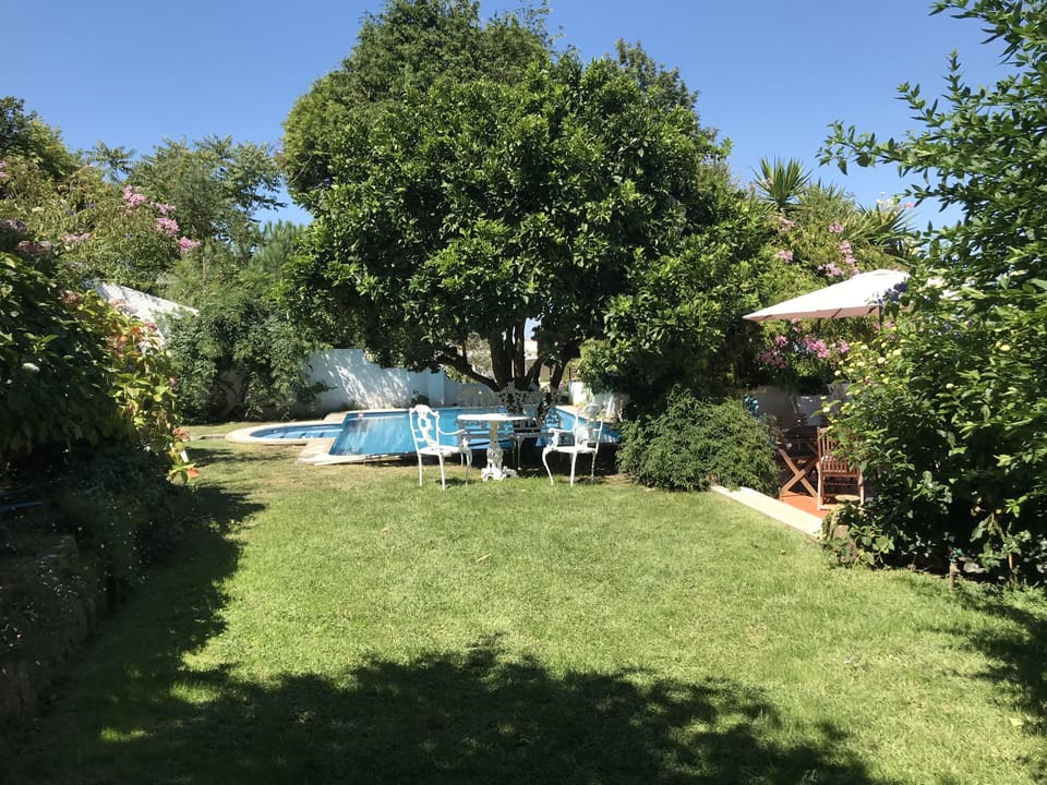 Garden and pool