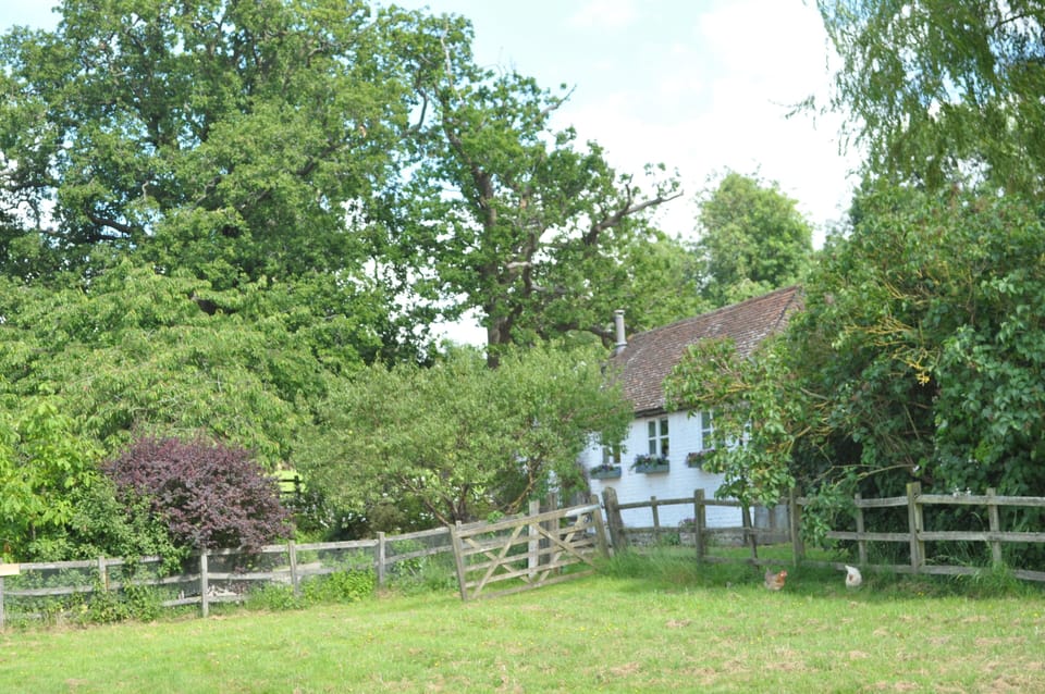 Looking at Willow Cottage from the field

