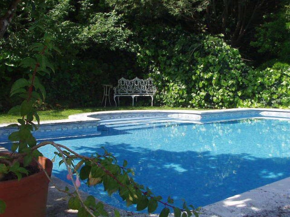 Pool and shady corners 