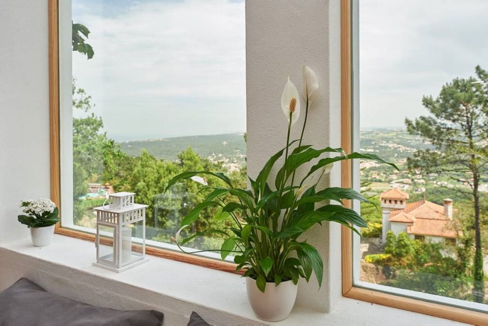 STUDIO with large windows and view to Atlantic coast