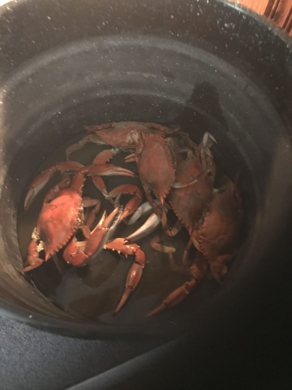 Catch your crabs in the front yard while still being a stone's throw from OC.  