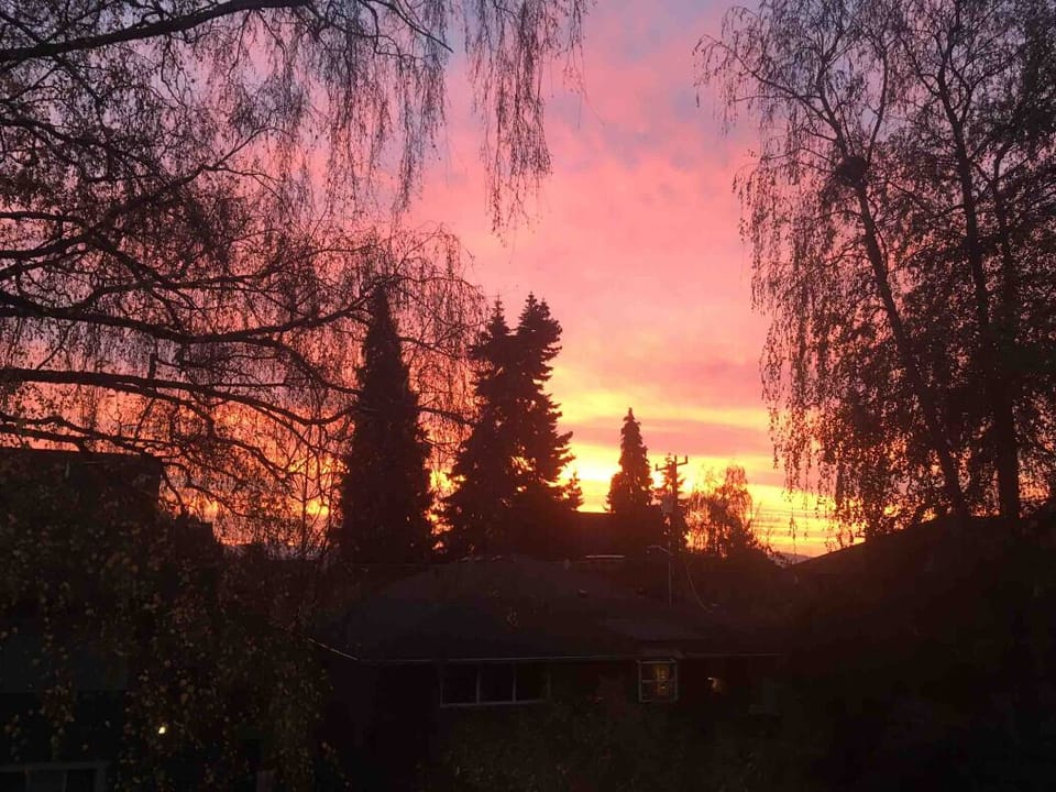 Garden at Sunset