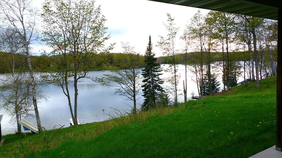 View from the back porch