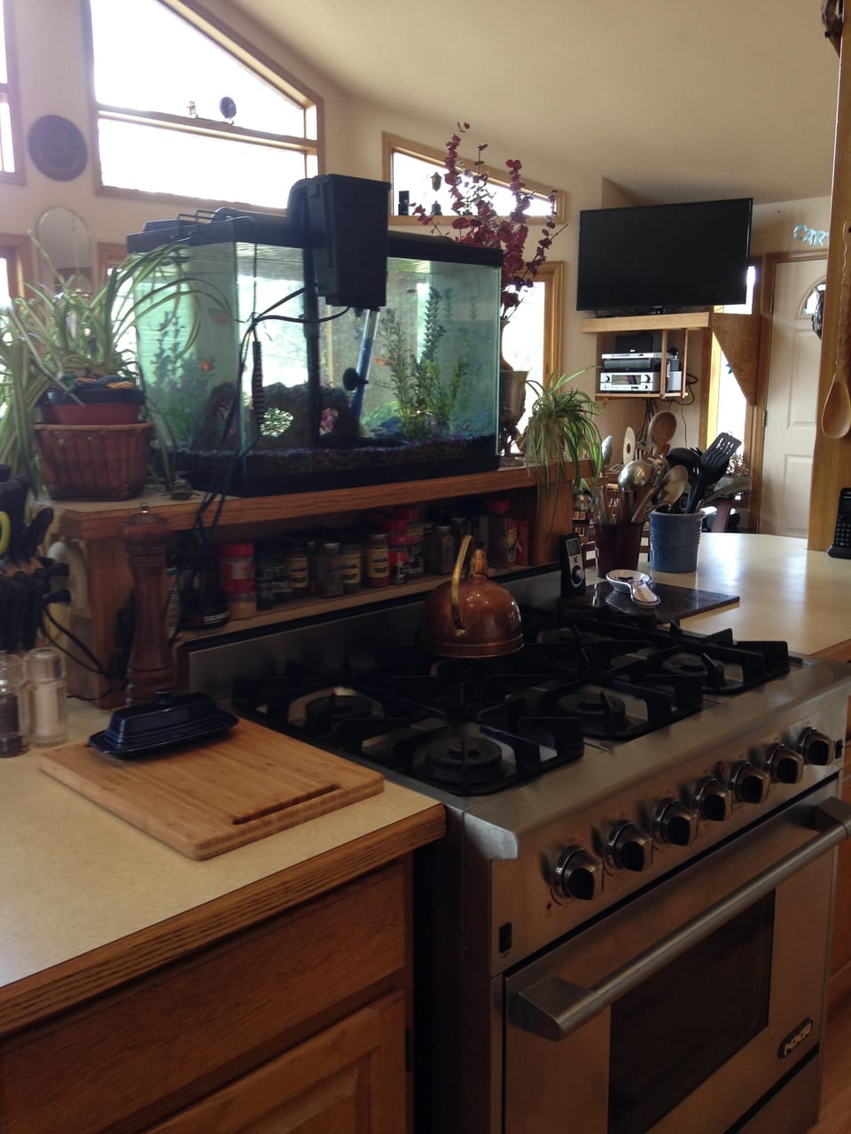 Six-burner commercial gas range