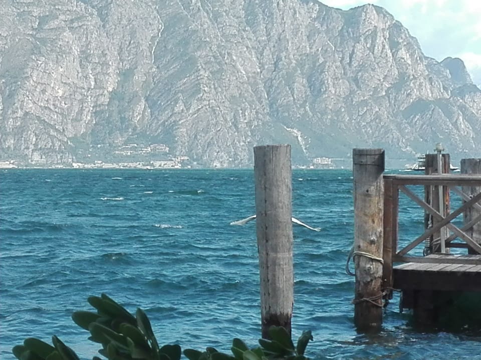 Zamarì Apartments directly by the lake Apartment in Malcesine