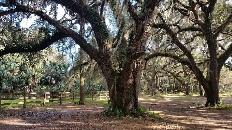 Emeralda Island Park, Great Hiking
