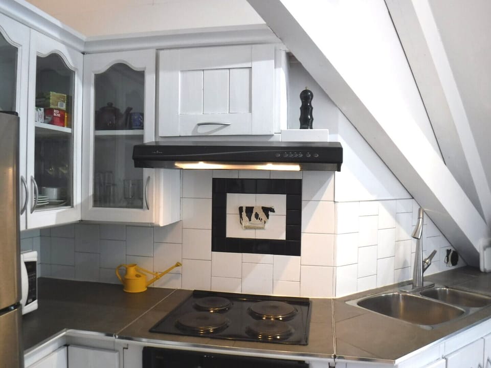 Induction stove top. No oven but there is a toaster oven.