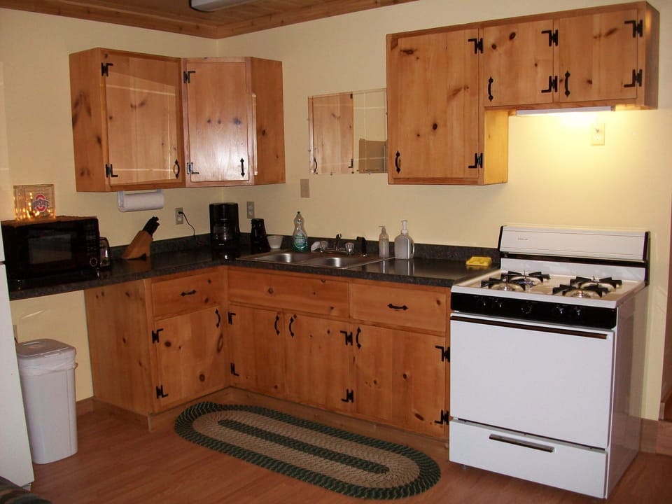 Cabin 1 Kitchen