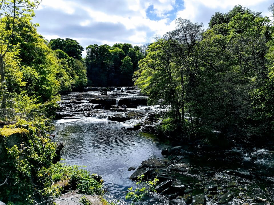 Aysgarth Falls. On one of the footpaths from the doorstep of the barn. 