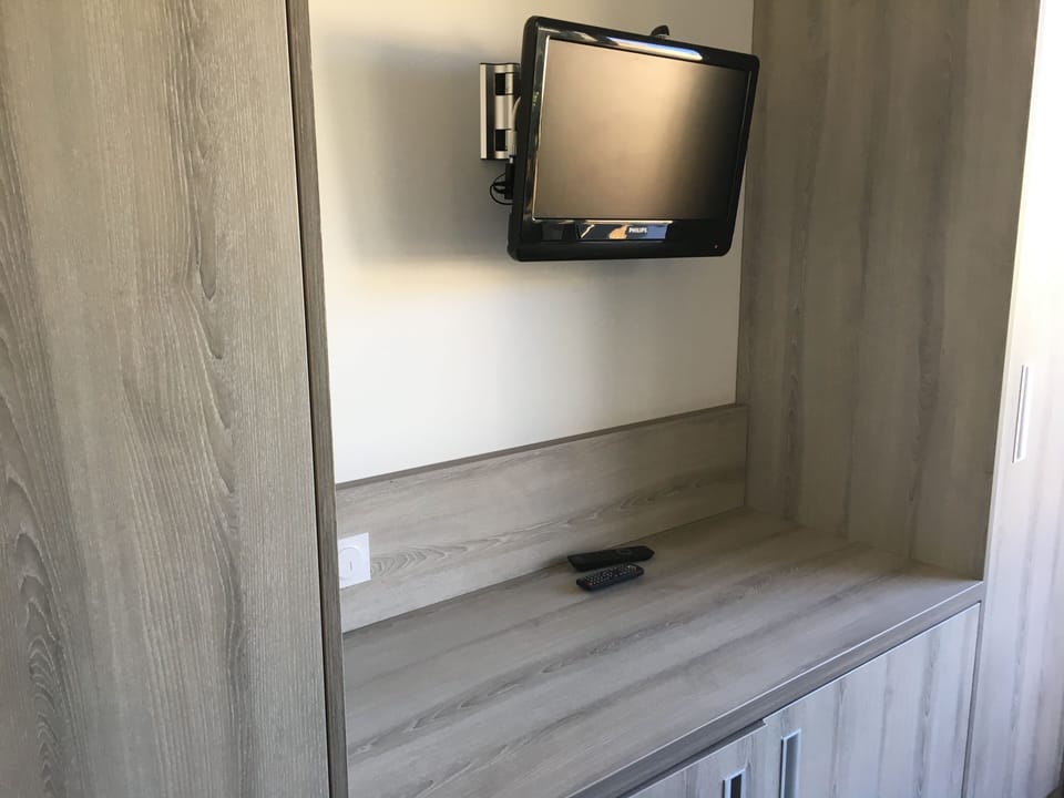 Television