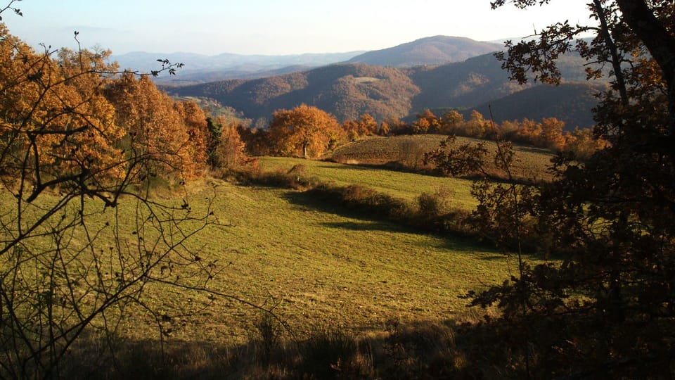 Anghiari's countryside