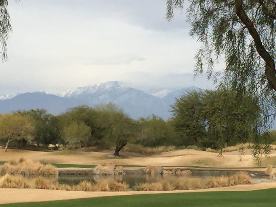Back yard Winter View after snow storm in the mountains