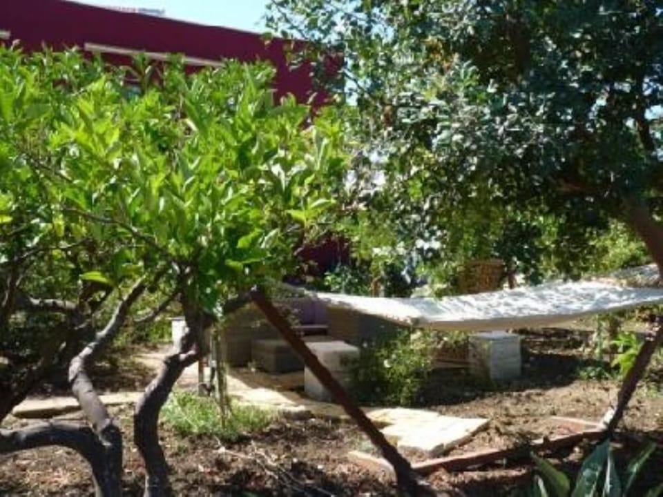 Garden, Park