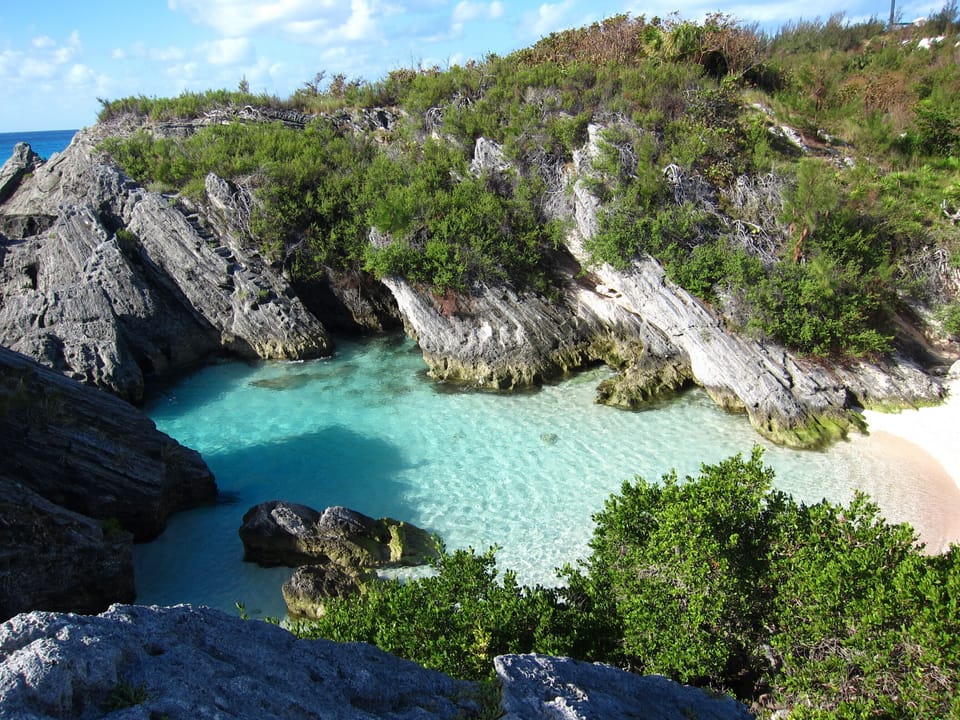 Jobsons Cove