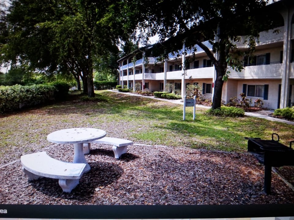 outdoor area full of nice trees and area to BBQ