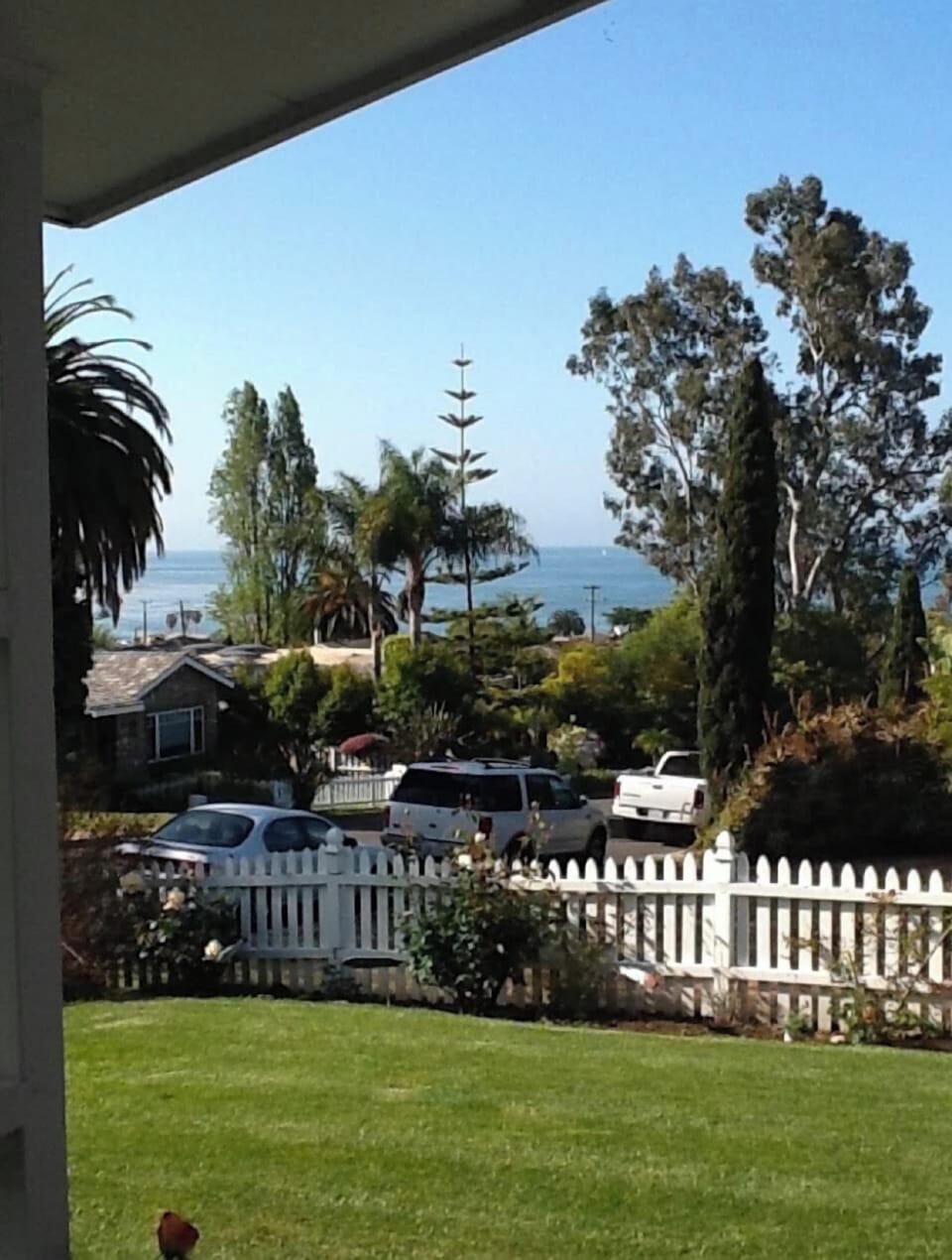 View from kitchen & porch