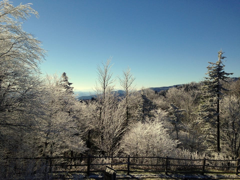 Winter view!