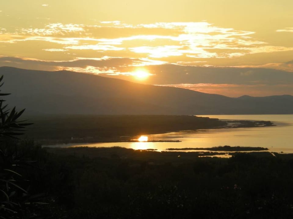 ANSEDONIA SEA VIEW- 1 KM FROM BEACH, BIG FENCED GARDEN CUSTODY Villa in Tuscany
