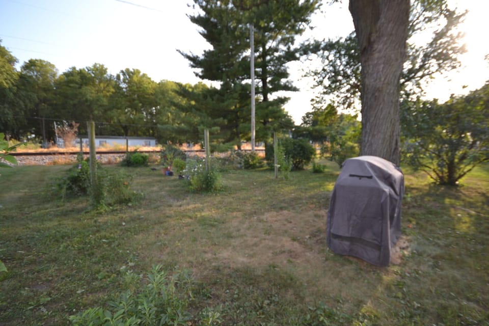 back yard with gas grill