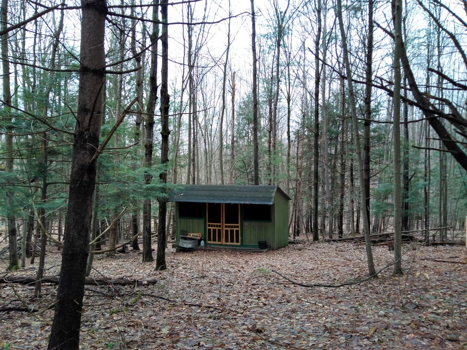 Rustic Retreat Cabin at the edge of the Forest.  