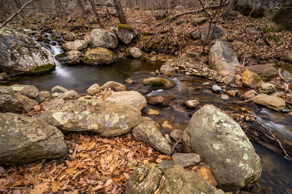 Our swimming hole on Ragged Run.
