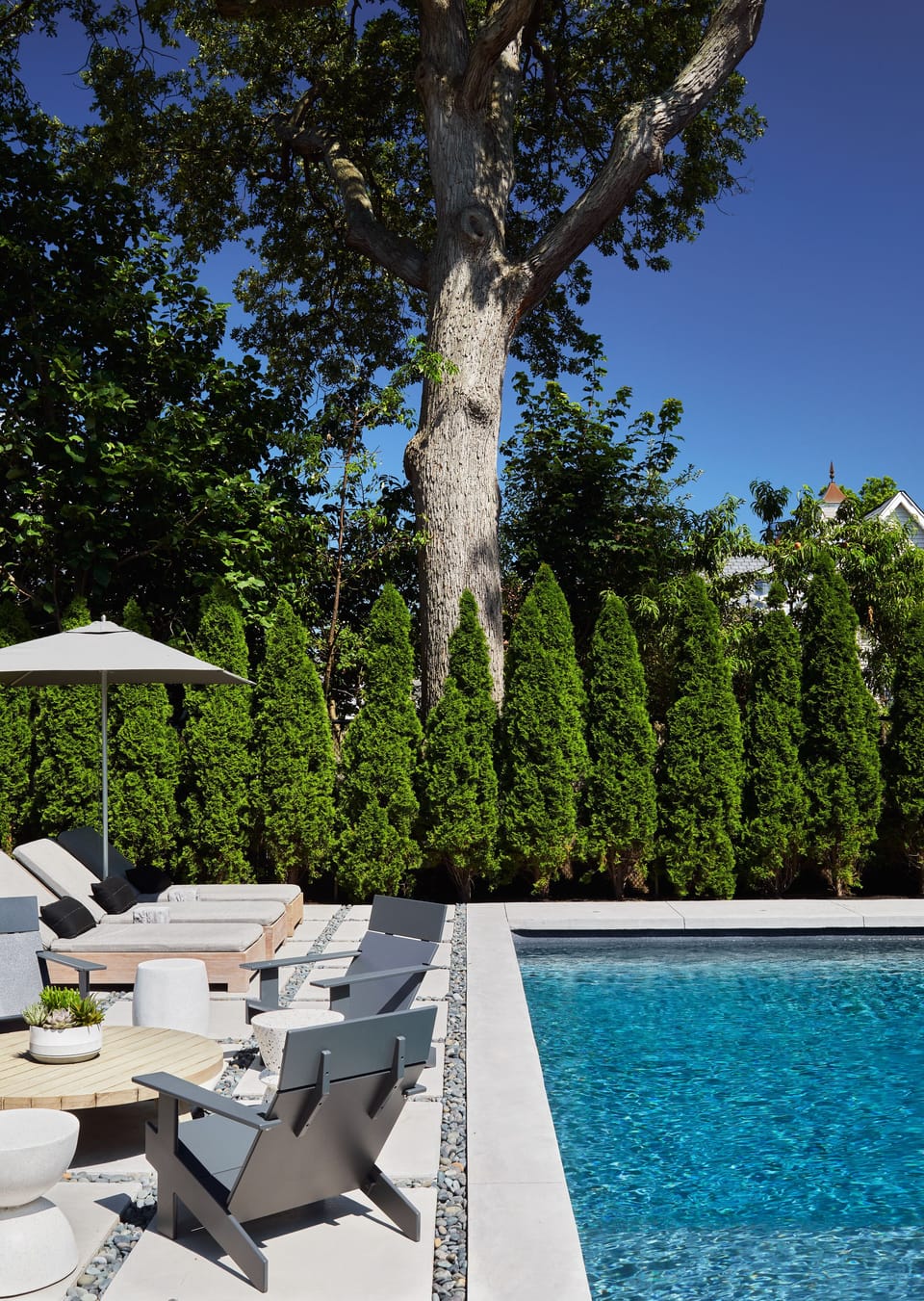 Backyard - heated pool
