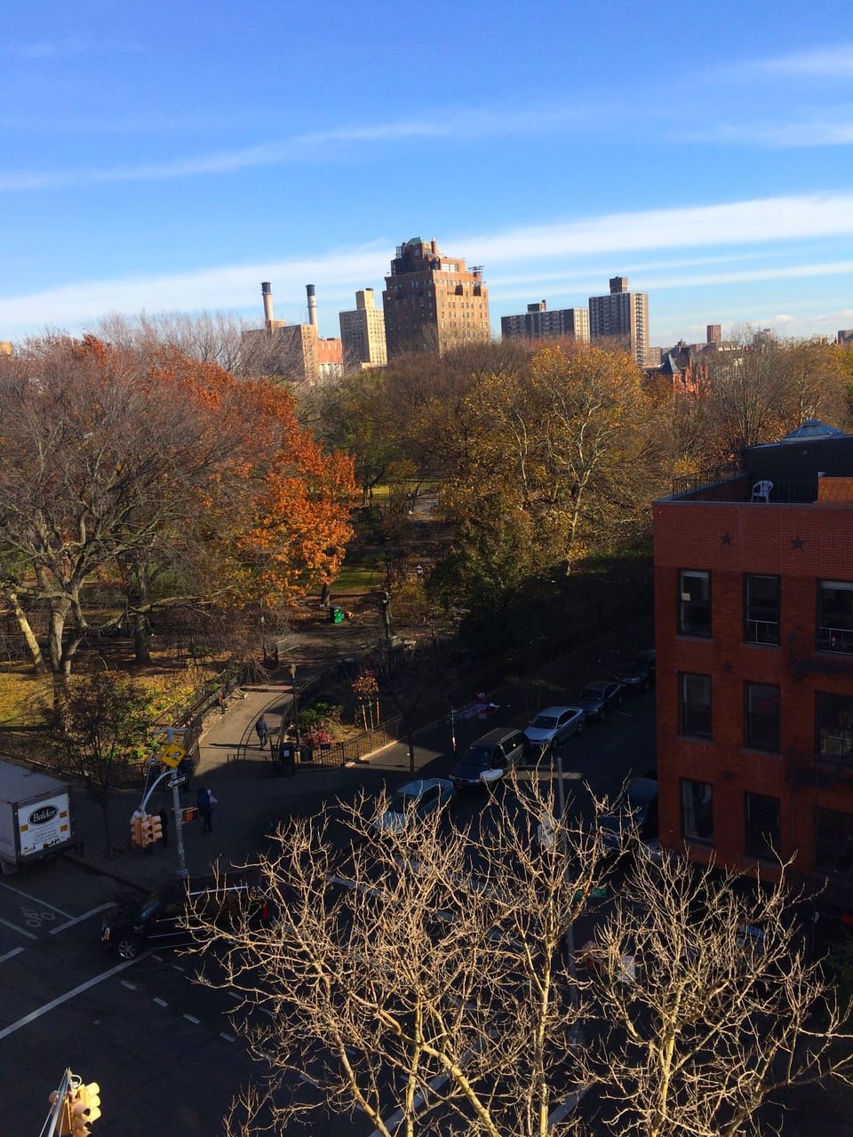 The view off the roof deck and balcony over Tompkins Square Park