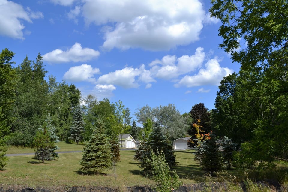 Views of the property 