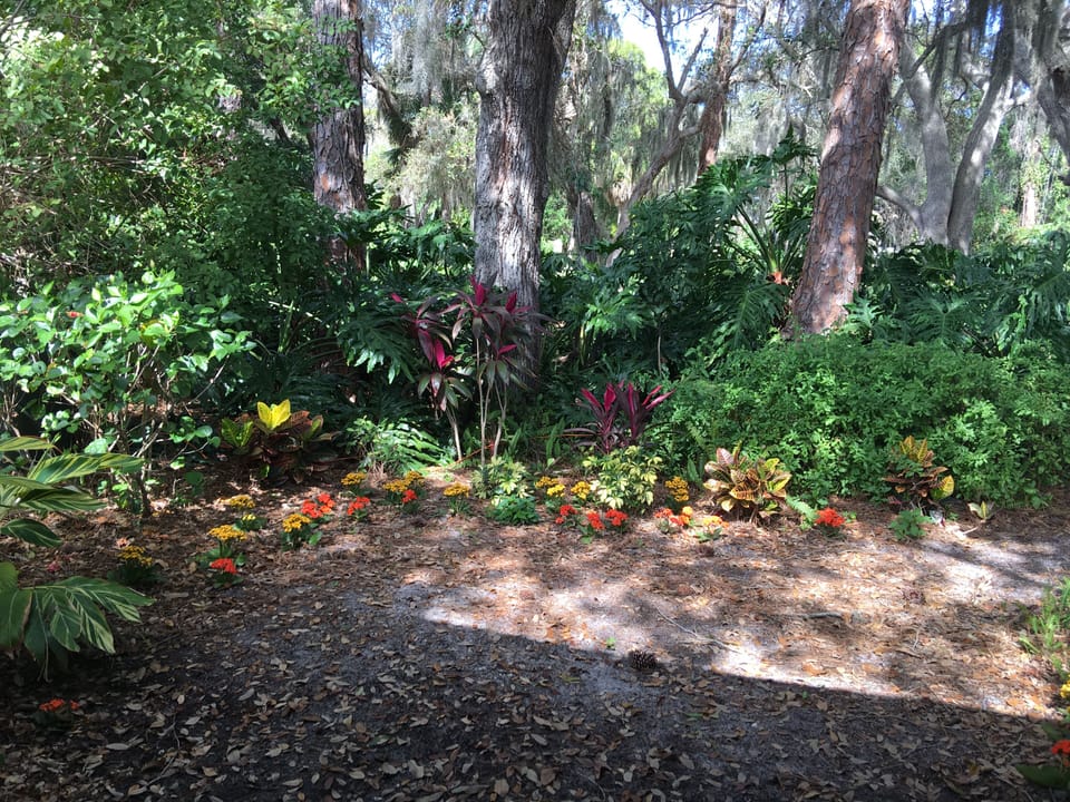 Lanai view