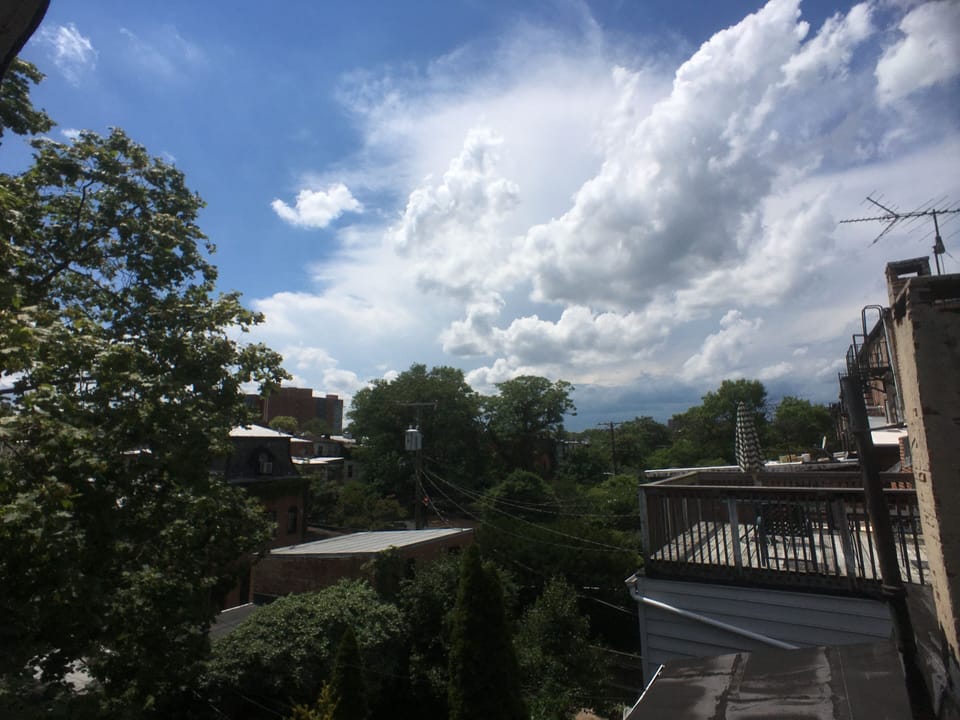Patio View
