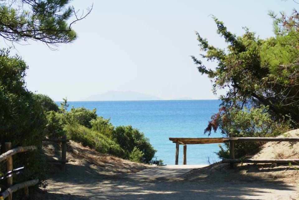 Sea view