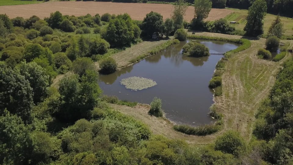 2 acres private lake , short walk from gites