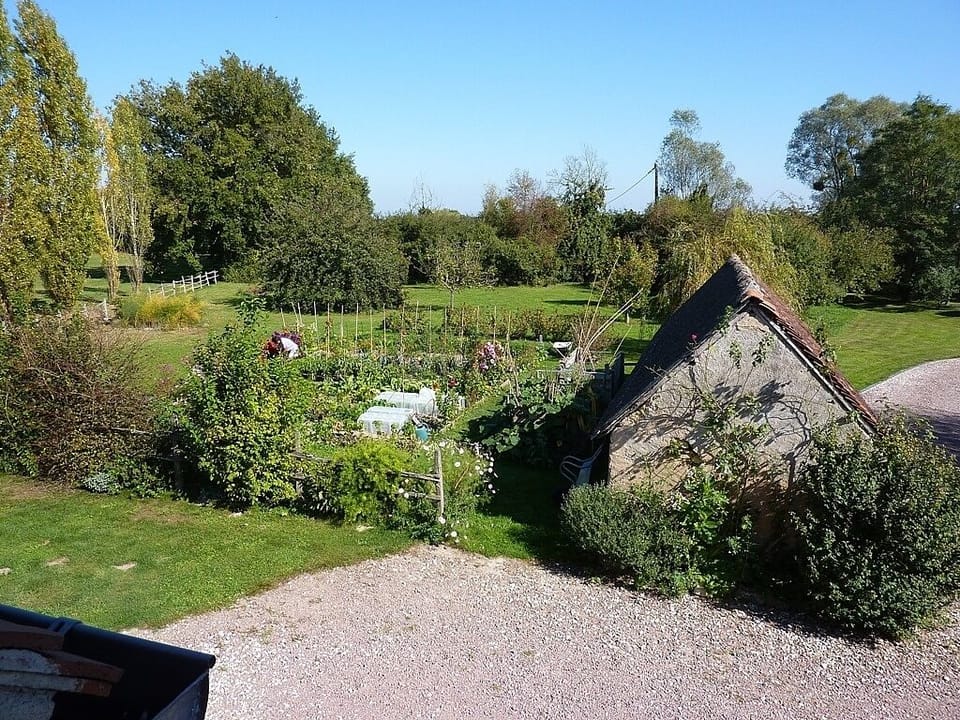 View of vegetable garden