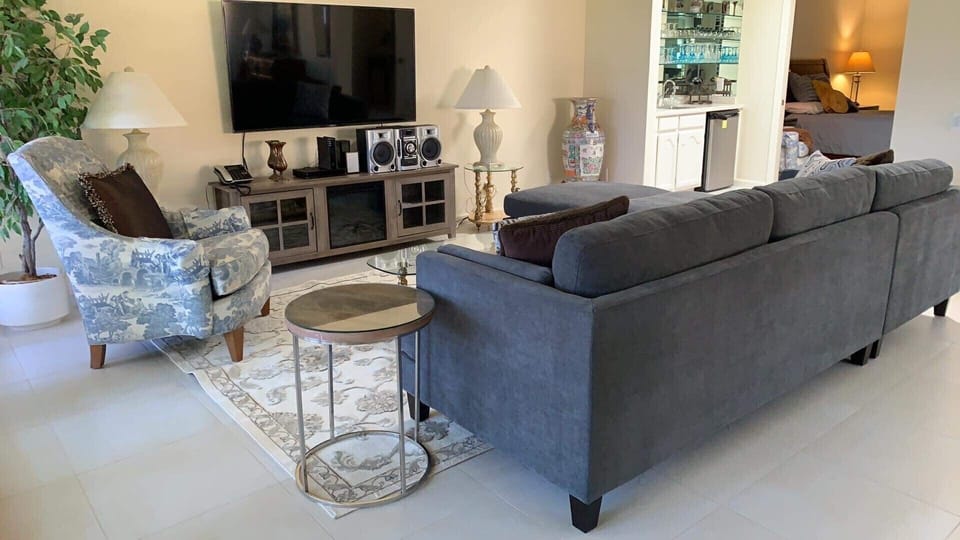 Living room with new 65inch Sony TV