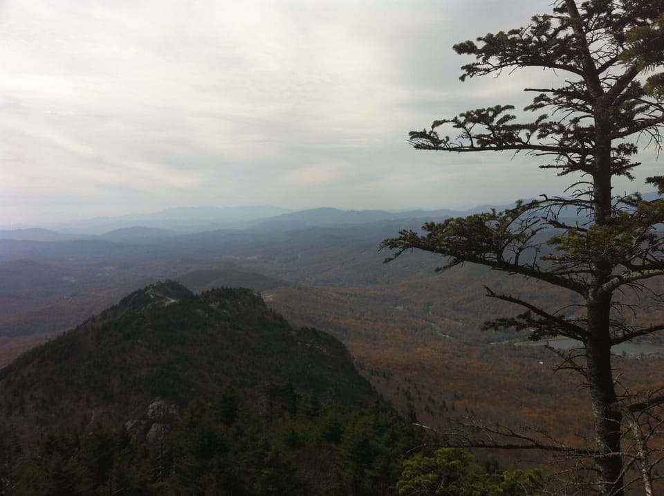Scenes from our hikes