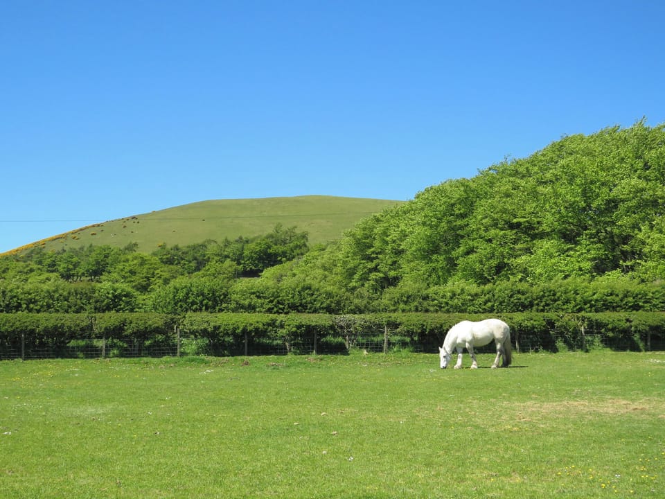 Surrounding area | Blueacres, Kilbucho, near Biggar